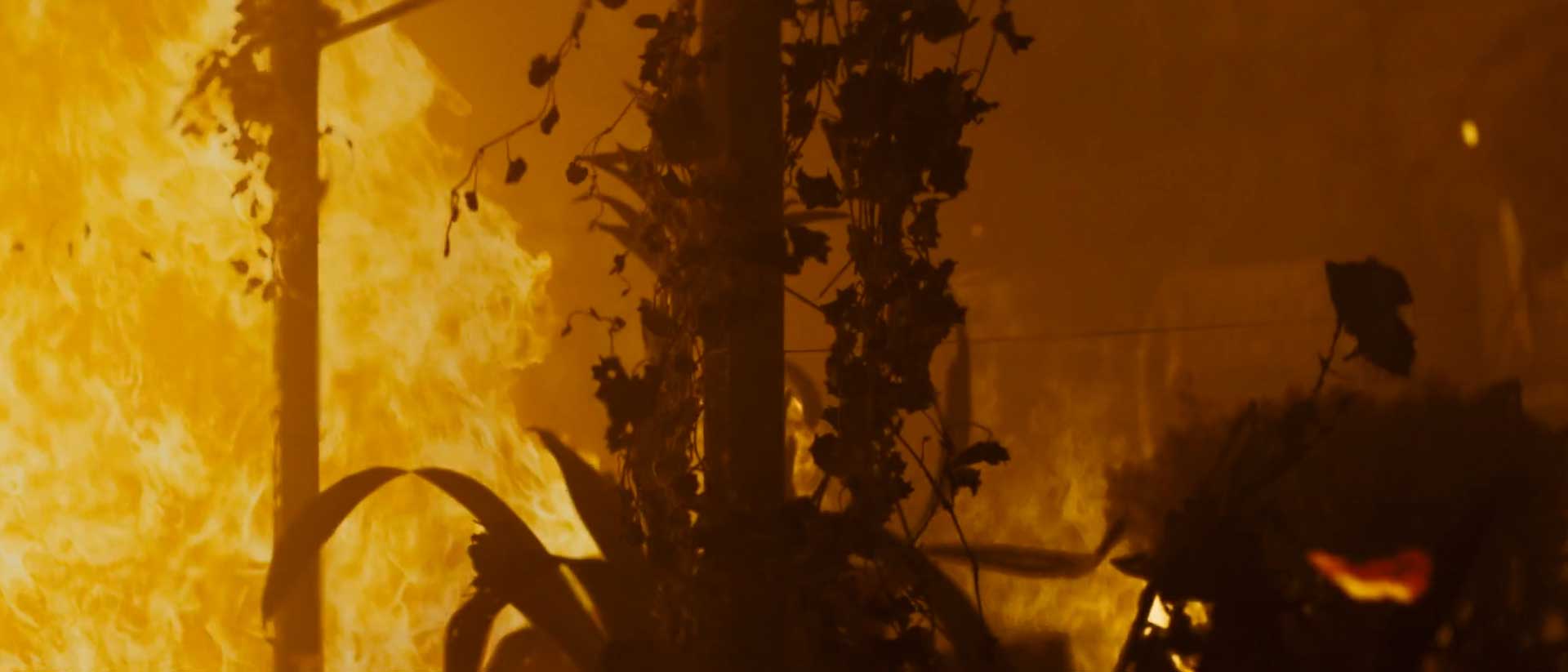 How actionvfx fire elements ignited the vfx of dont breathe 2 blog banner 1