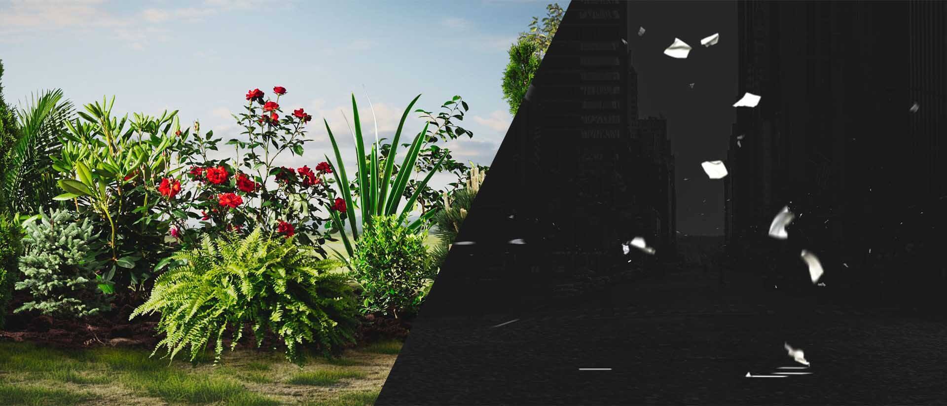 Elevate Your Scenes With Our New VFX Collections: Plants & Foliage and Windy Trash & Paper